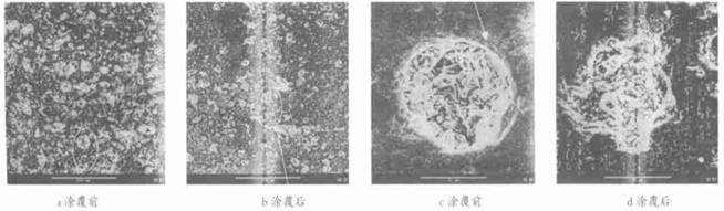 圖4涂覆防污劑前后的拋光磚表面狀況